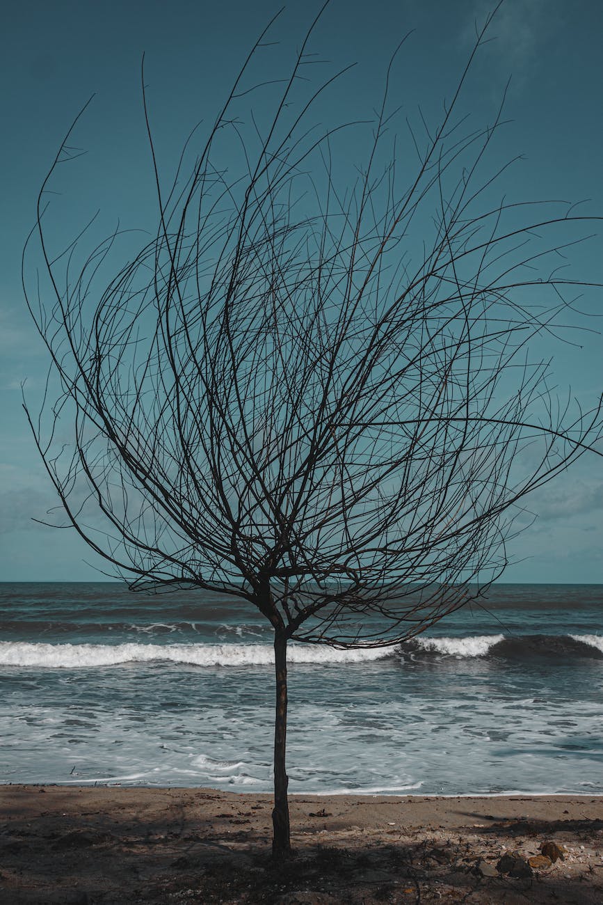 Gratitude and Resilience in Your Professional&nbsp;Life