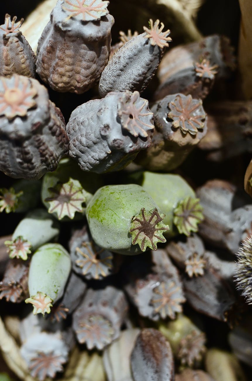 Navigating New Leadership: How to Thrive During Workplace&nbsp;Transitions